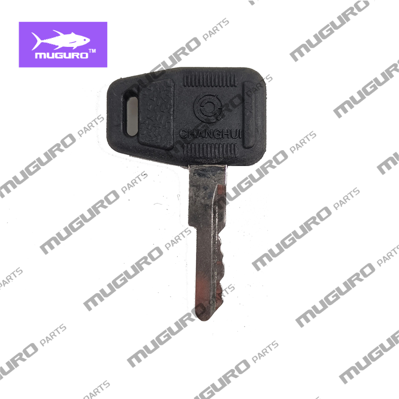 Llave de encendido SP115882 pa - Heavy Equipment Keys reseña y precio
