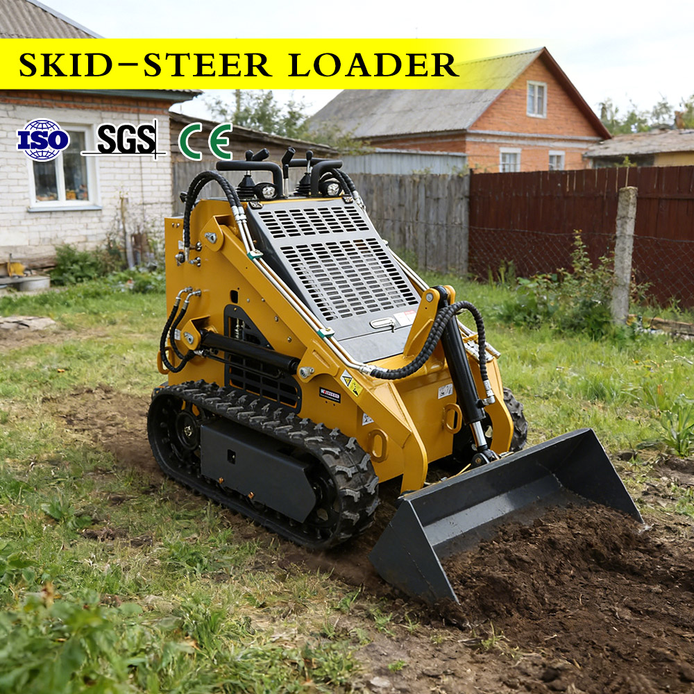 Minicargadora de Dirección Des - Heavy Equipment China Brand reseña y precio